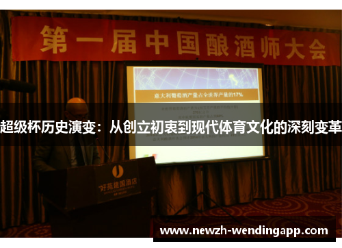 超级杯历史演变：从创立初衷到现代体育文化的深刻变革