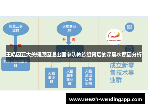 王皓因五大关键原因退出国家队教练组背后的深层次原因分析